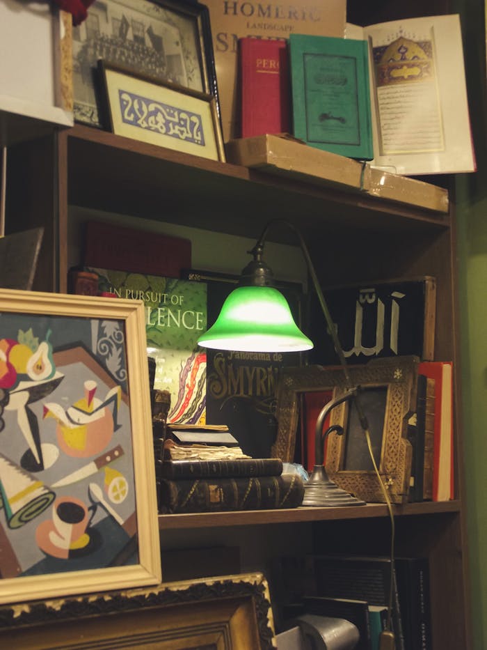 Warm-toned bookshelf featuring eclectic decor and framed art piece